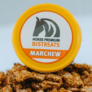 Nagroda - ciastka marchwiowe dla koni Bistreats Horse Premium